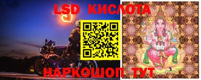 ALPHA PVP Новодвинск