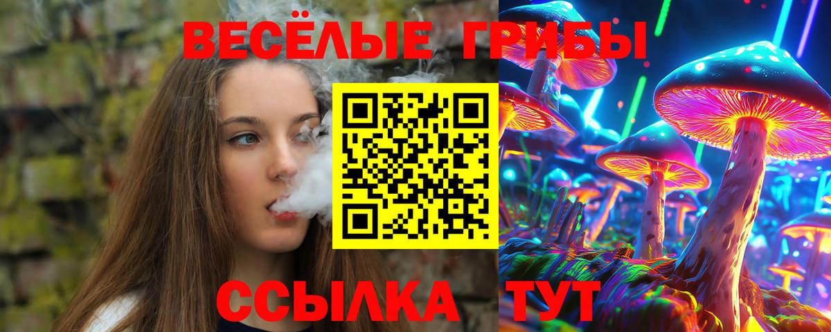 Галлюциногенные грибы прущие грибы Солнечногорск